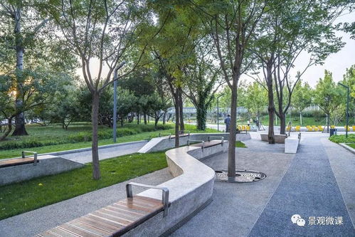 他们还有哪些团队呢？