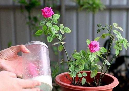 土壤湿度， 是关键