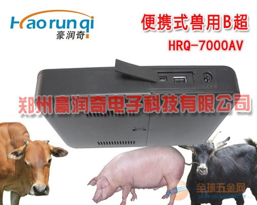 母猪超声波测孕实图详解，一看就懂