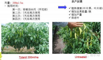 使用方法得讲究