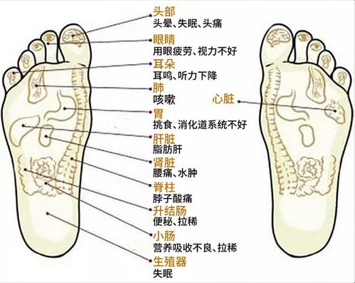 艾叶和生姜泡脚，古老养生法