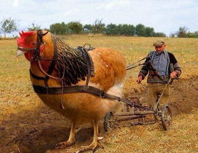 耐心等，别心急