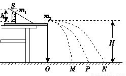 苗木移栽：土球比例大揭秘，跟着感觉走？不得有“黄金法则”