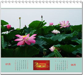 草本花卉的小秘密