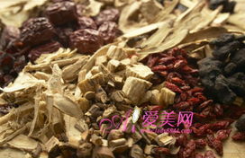 想养好多肉植物？这份超全养殖方法