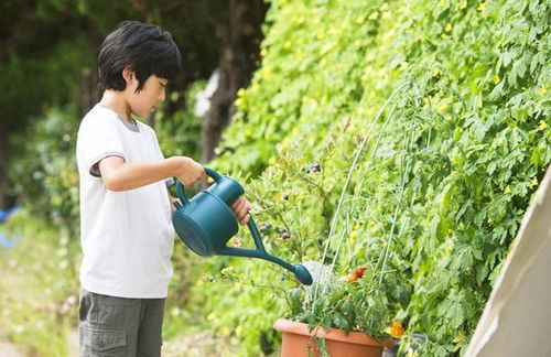 温度不同， 浇水策略也不同