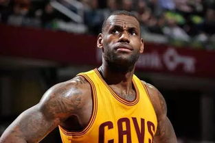 花期长短，美丽不停歇