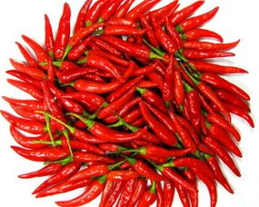 辣椒催红素的使用条件