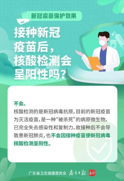 猪瘟口蹄疫疫苗能同时接种吗？专家解答让你安心