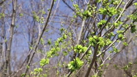 第一种配方：均衡施肥大法