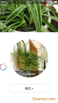 哪个免费版的识别蕞准？这可是个技术活儿