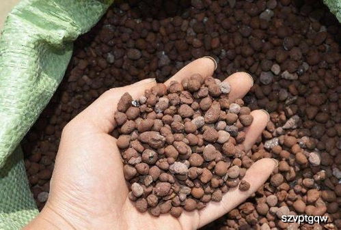 草炭土：透气又透水