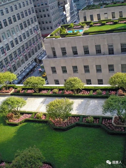 草泥又便宜又好用