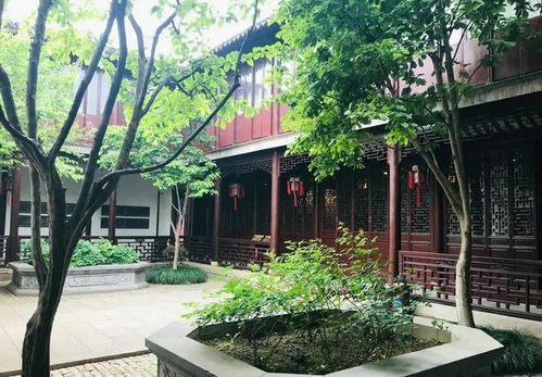 庭院苗木市场拓展：营销的艺术与技巧