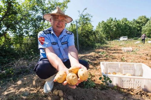 家庭菜园浇水施肥除草，我的小菜园日记