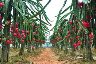 地区和时间要兼顾