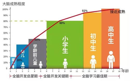 为什么鹿在0.3秒内能精准避坑，其专注力背后的生理机制是什么？