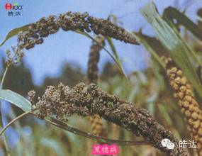 成本效益：混配方案， 省钱又高效