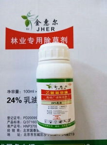 哪种除草剂能有效治疗酸枣棵死根，防止酸枣树根部受损？