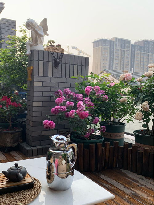 花园之梦， 简单而美