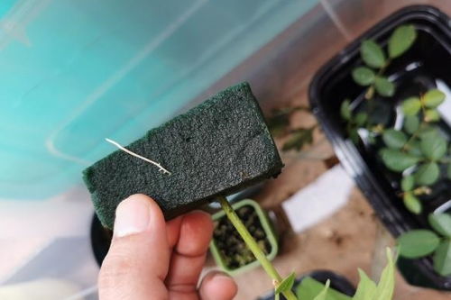 如何判断土壤湿度？