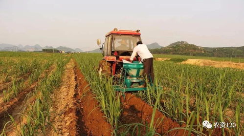 农药浓度：越高越好吗？