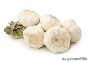 大蒜雄黄茶油：揭秘传统秘方，一斤茶油的超值之选！