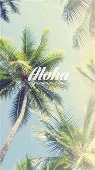 夏天的热情，你准备好了吗？