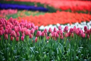 万紫千红不只是调色盘