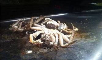 河蟹防逃设施，指防止河蟹逃逸的各类设施