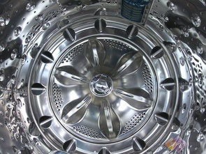 二、取出小脏盒，清洗也简单！