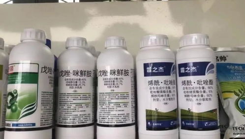 沃柑地里可以用除草剂吗？