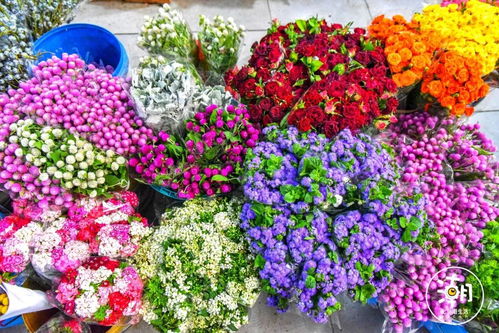 5. 废品堆旁边瞧一瞧