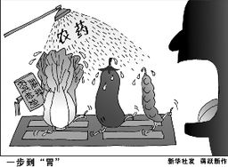 农药的舞动，阳光的陪伴