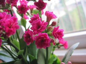 加入营养物质， 补充嫩量