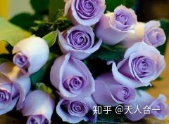 送人白玫瑰，是不是代表纯洁的祝福