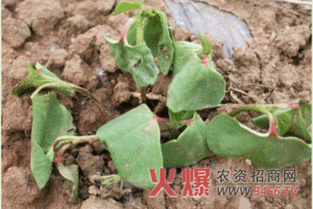 具体操作， 步骤来啦