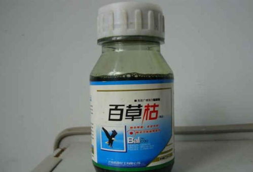 百草枯，也是个不错的选择