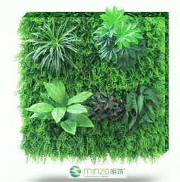 植物的意义：文明的交融