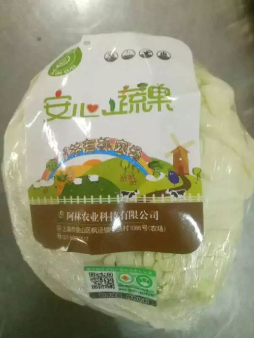 药剂的作用机制