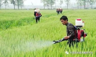 酸碱农药， 不Neng混用