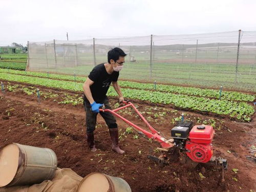 海南的气候优势