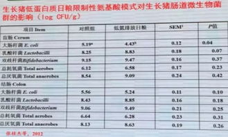 猪饲料中氨基酸如何应用以提升蛋白质吸收率及降低氮排放？