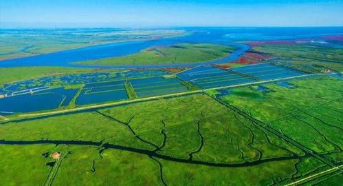 吉林汪清县木耳村，依托生态优势