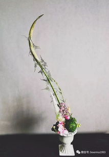 花艺装饰的自然美学融入之道