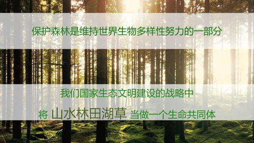 生态林在应对气候变化中的作用