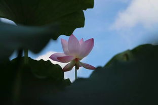 水，水，还是水