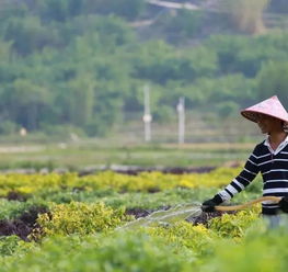 四、 具体防治措施