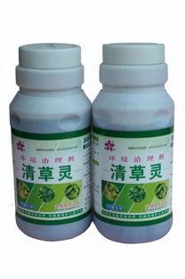 园林工人常用除草剂，园林苗木地如何进行化学除草效果最好？