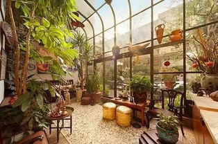 阳光房里的蔬菜乐园